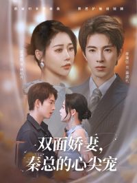 ˫�潿�����ܵ��ļ��