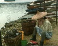 һǧ����ҹ֮Ѫ׷��