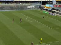 ������� ά����VS�������� 20240505