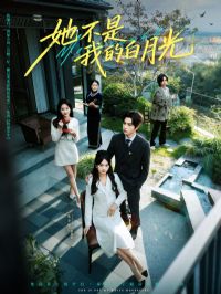 �������ҵİ��¹�