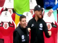 Ӣ������ ����ķVS����ķ�� 20240914