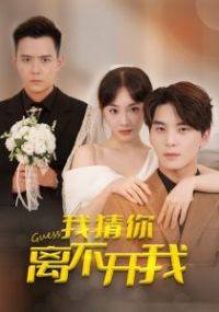 �Ҳ����벻����