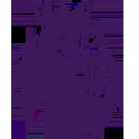 Ӣ���ļ����� ����vs������20250804