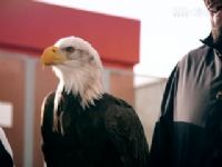 Ӣ�� ��ɭ��vs������ (�²���) 20240204