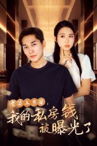 �����Ͻ�Ŀ���ҵ�˽��Ǯ���ع���