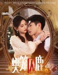 ������¹